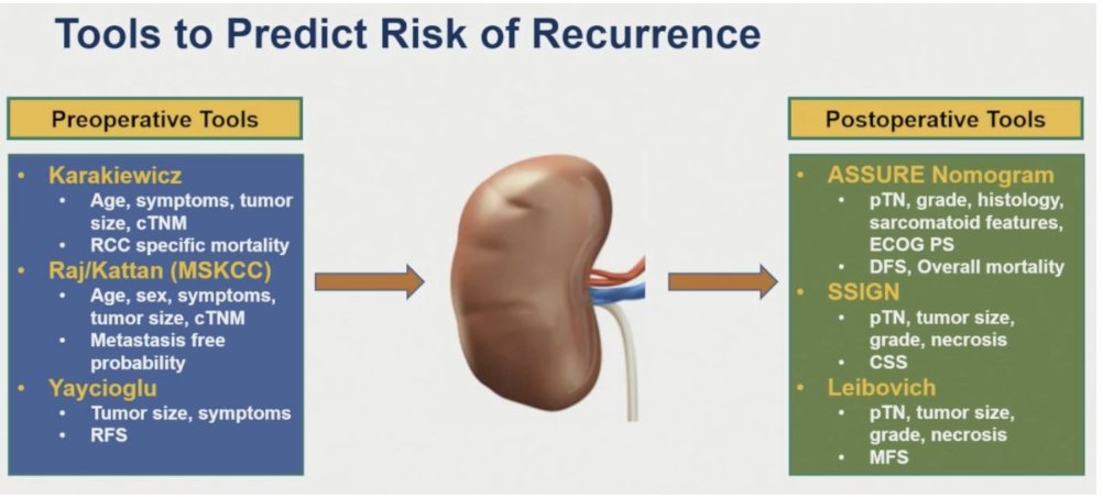 urotoday's tweet photo. Neoadjuvant treatment strategies in #RenalCellCarcinoma. Presentation by @DrRanaMcKay @UCSanDiego. #ASCO26 written coverage by @RKSayyid @UAUrology > https://t.co/56ozK12YCR @ASCO https://t.co/Hclat0ErIw