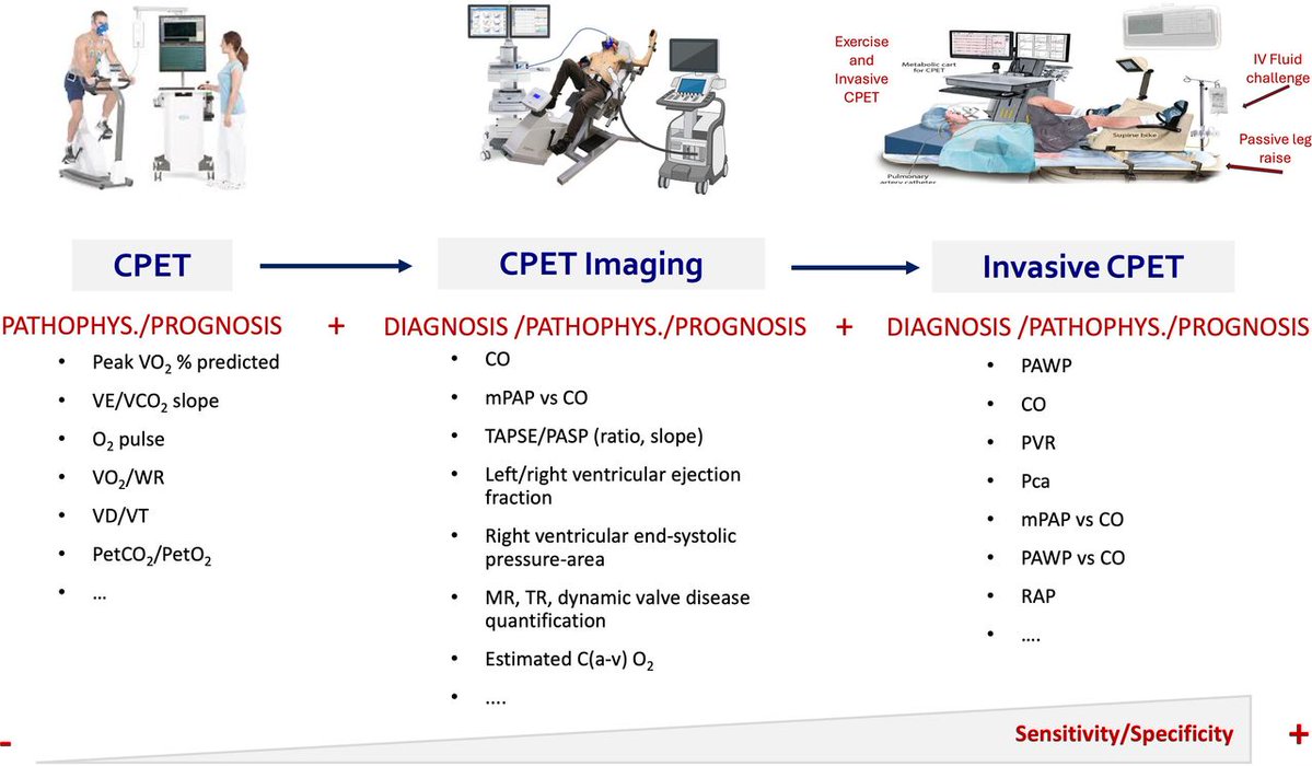 Heart_BMJ's tweet photo. Cardiopulmonary exercise testing in contemporary cardiology: physiological insights, novel applications and evolving algorithms https://t.co/y6tTSsvc5V https://t.co/B9przWI8lZ