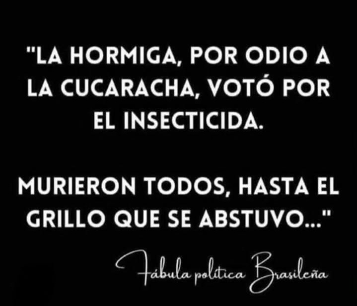 VoluptuosaLa's tweet photo. Salga, ejerza su derecho al voto, no busque pelea con el vecino o el que piensa diferente a usted, recuerde hidratarse bien, caminar por la sombra o andar con sombrilla. https://t.co/zBLDDxbJ1C