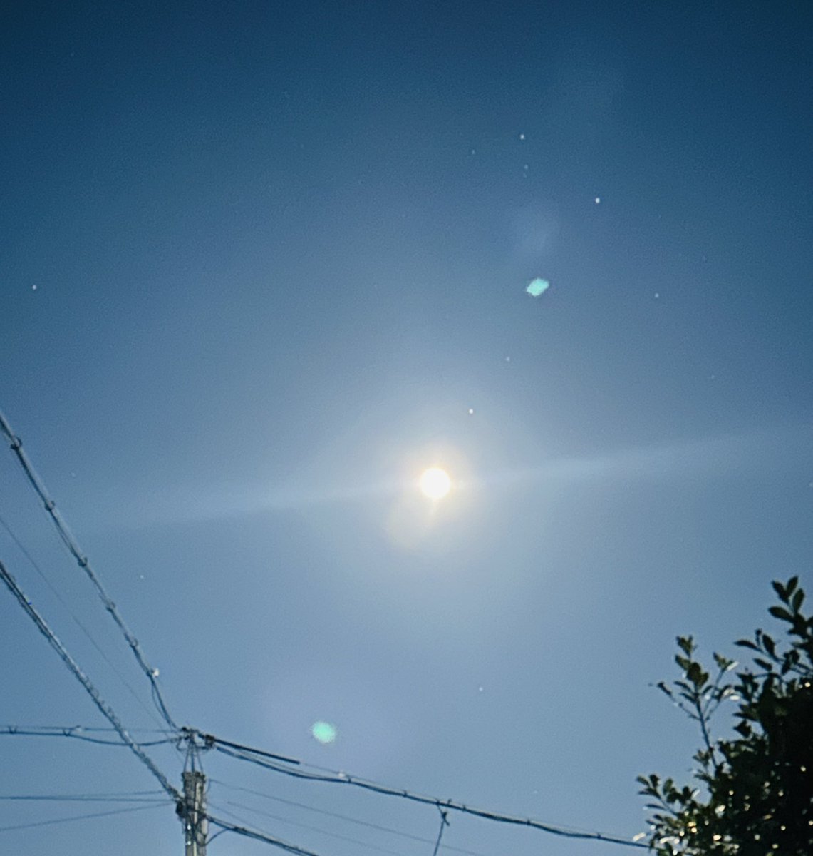 rinn444777's tweet photo. ＃ブルームーン

今夜は満月🌕
数年に一度しか見られないブルームーン💖
「見ると願いが���う」「幸運が訪れる」特別なパワーを持つらしい❣️ https://t.co/hxWQEaUch1