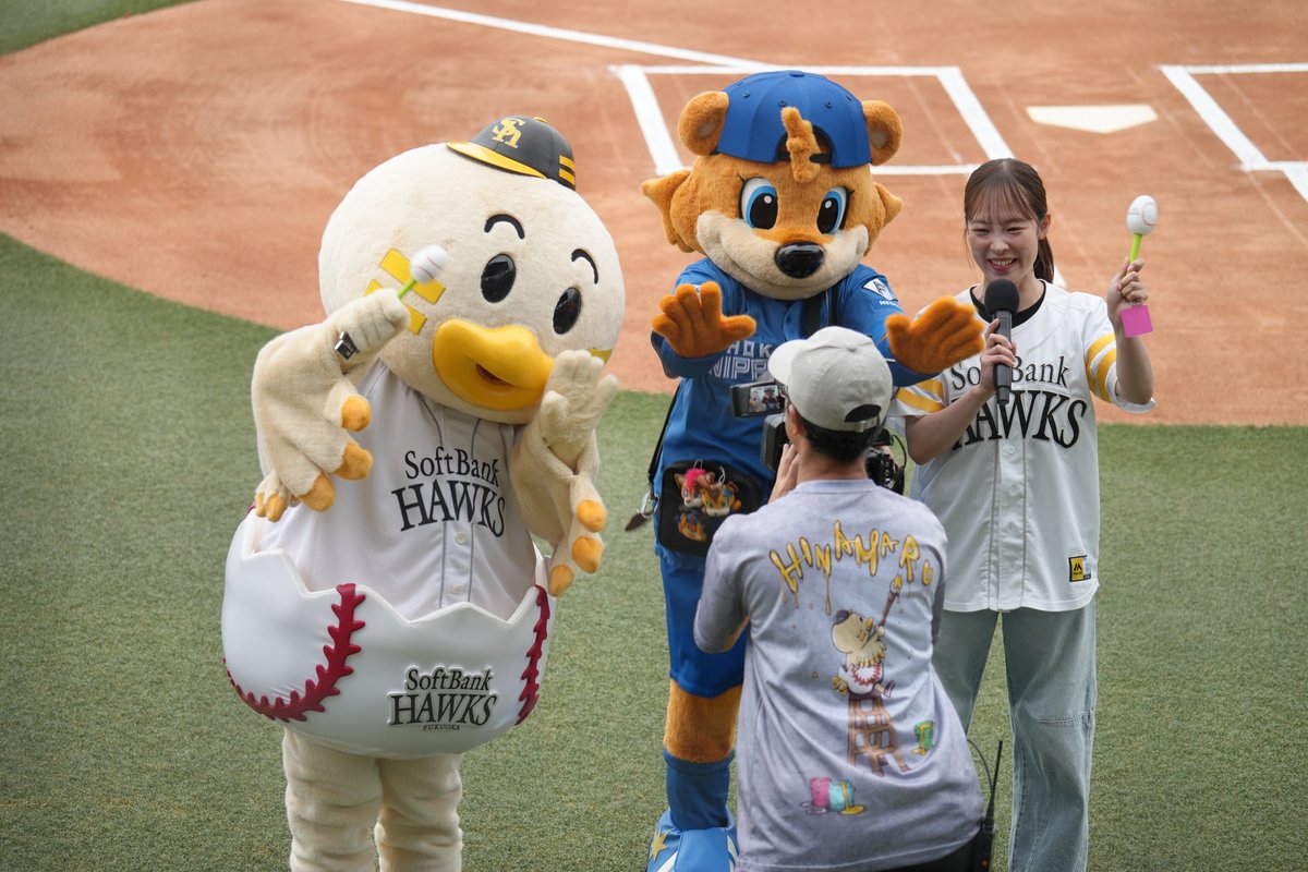 hirokoma66's tweet photo. ウエルカムビジターデーだったので、カビーがタマスタに♡　ひなちゃんもカビーも可愛かった♡♡
なんとカビーは8年ぶりのタマスタだったとか…でもカビー５歳？
カビー20周年…でもカビー5歳？
永遠の５歳で~す、なのね‼

#sbhawks #全新 #タマスタ筑後
#lovefighters #カビー20周年 https://t.co/d3H1A8PfEe