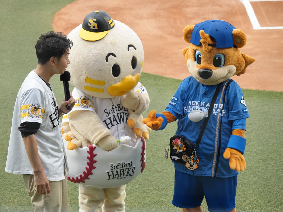 hirokoma66's tweet photo. ウエルカムビジターデーだったので、カビーがタマスタに♡　ひなちゃんもカビーも可愛かった♡♡
なんとカビーは8年ぶりのタマスタだったとか…でもカビー５歳？
カビー20周年…でもカビー5歳？
永遠の５歳で~す、なのね‼

#sbhawks #全新 #タマスタ筑後
#lovefighters #カビー20周年 https://t.co/d3H1A8PfEe