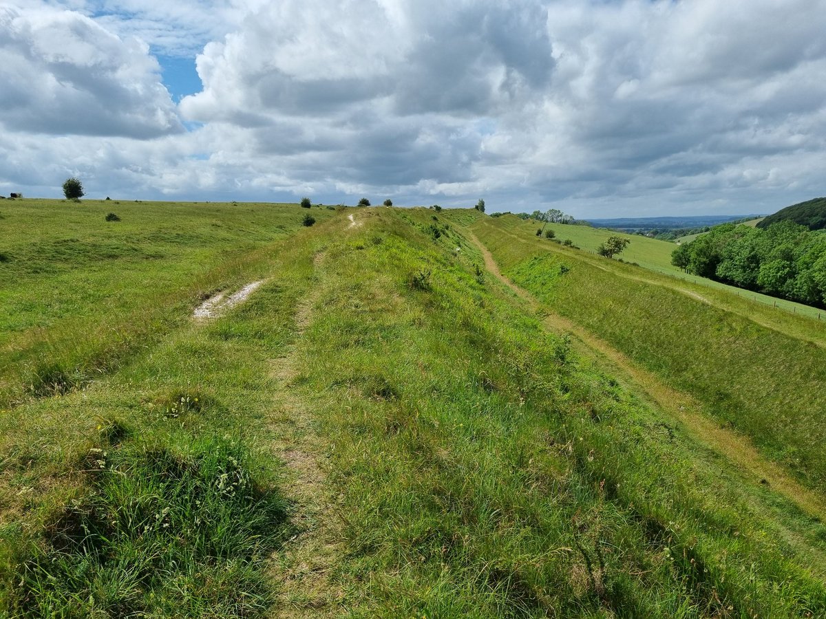 DACsLR's tweet photo. Walking towards the Roman section of #HodHill in #Dorset https://t.co/BHKX3jcncj