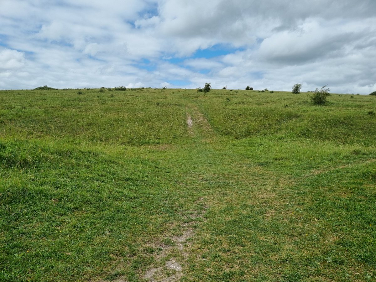 DACsLR's tweet photo. Straight down the middle! #HodHill #Dorset https://t.co/gMf9vMsRx9