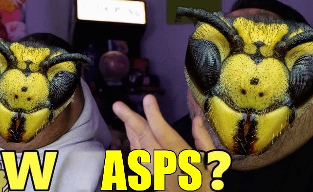 320,000,001 Yellow Jacket Wasps tweet media