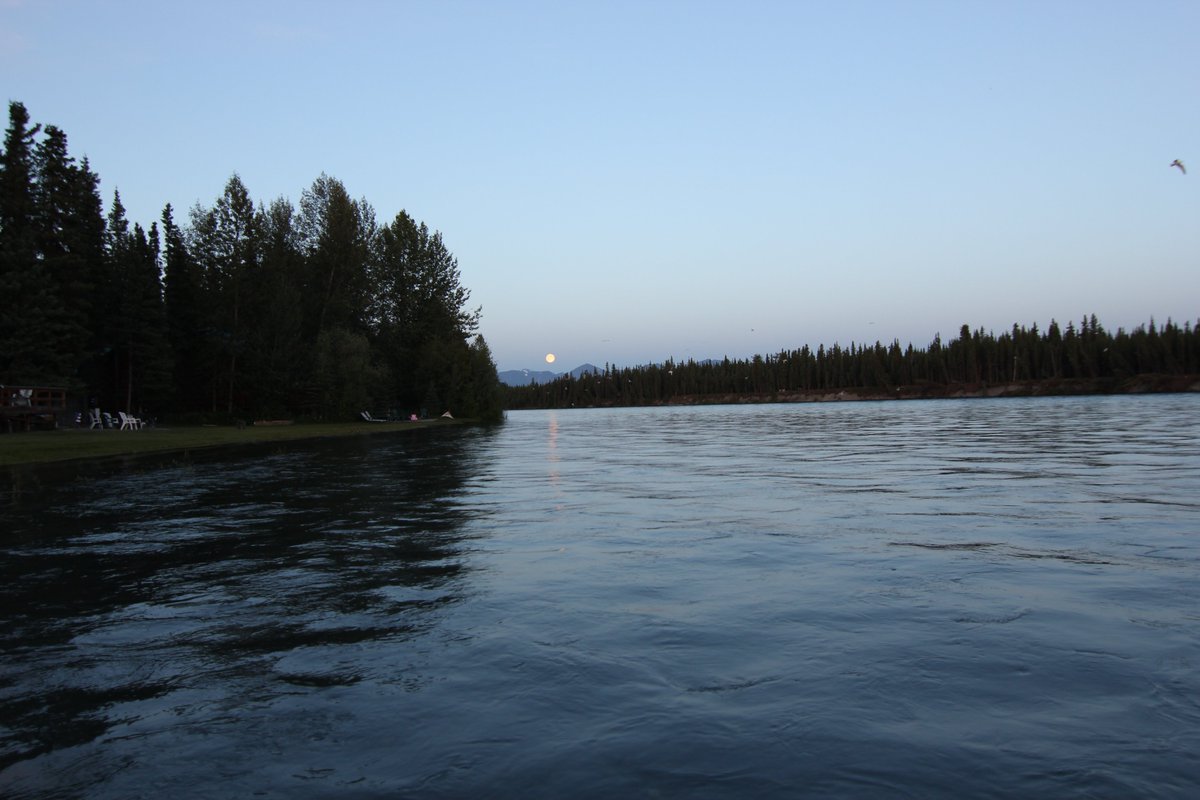 SteveAndApril1's tweet photo. @DMiller52325459 Kenai Keys, Alaska. https://t.co/t66h5Cozed