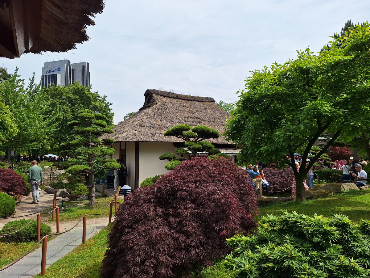 JapanFlorian's tweet photo. Nach Familiengeburtstag gestern, heute in Hamburg beim Japan Festival für eine kurze Weile gewesen. Mit Kinderchor (上を向いて歩こう) und danach Taiko/Shamisen-Performance. https://t.co/siyCoLwIXc