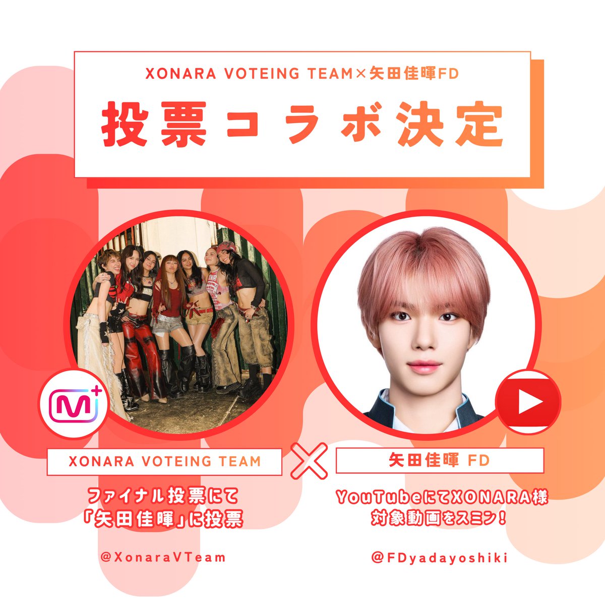 矢田佳暉FD【よしきらーず👑💖】 tweet media