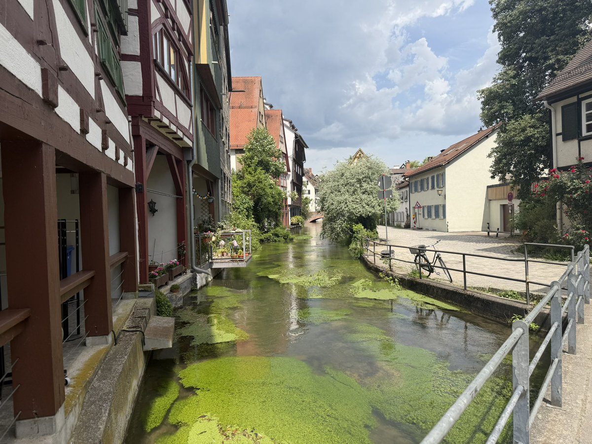 cherry 🎀 tweet media