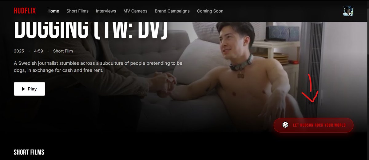 hudflix tweet media