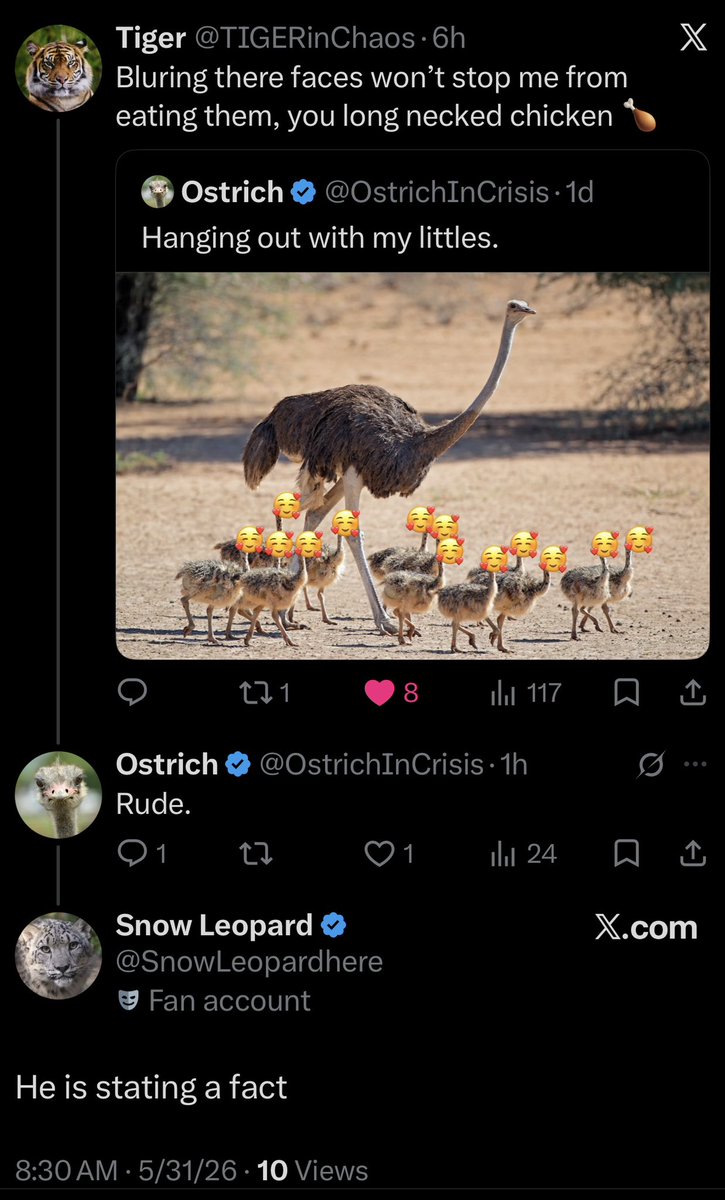 OstrichInCrisis's tweet photo. The big cats are bullying me and my children. https://t.co/K692HyPYGL