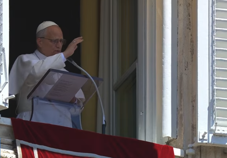 Vatican News tweet media