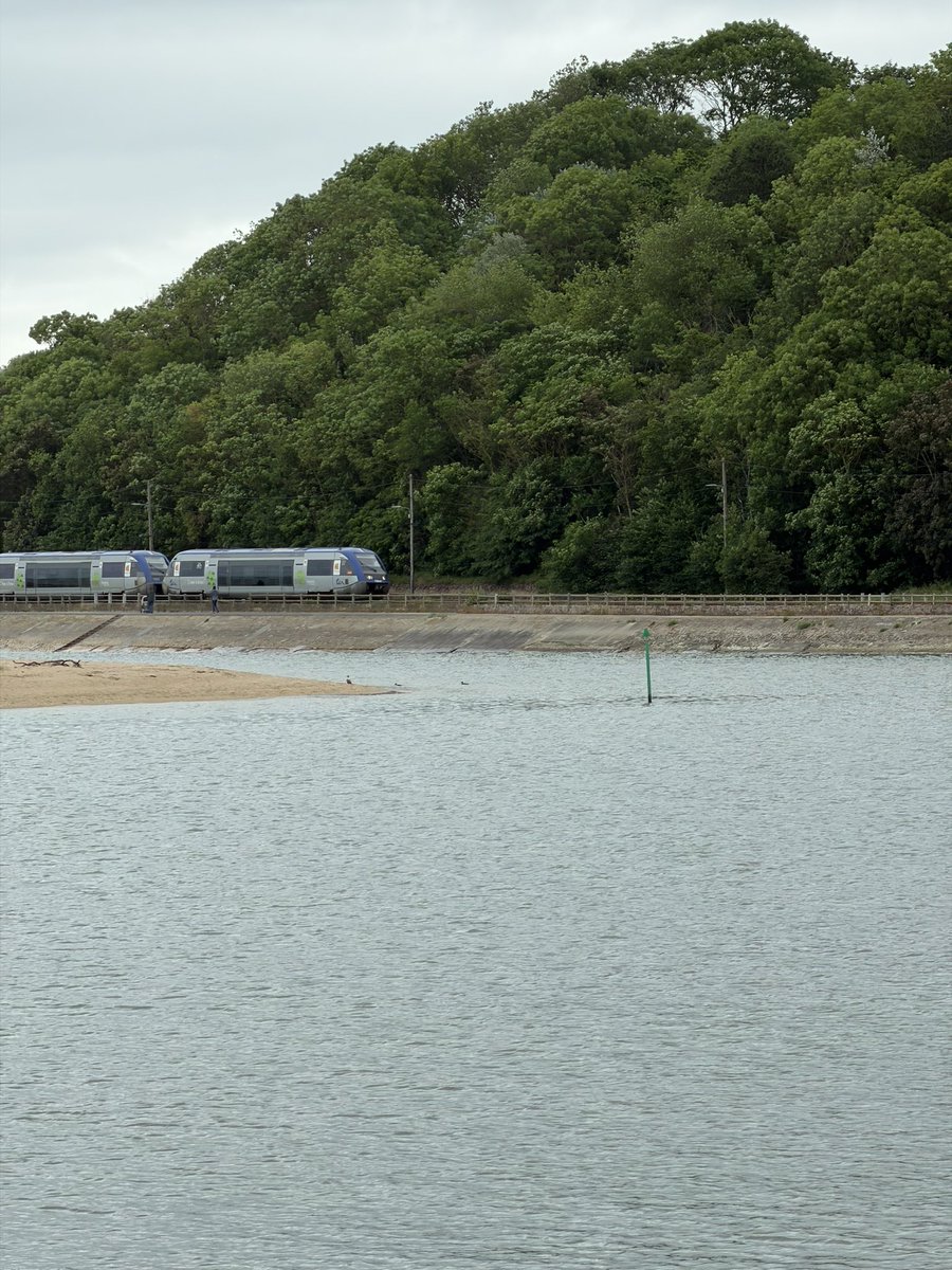 CdbMaxime's tweet photo. La belle ligne Lisieux Dives-Cabourg exploitée par @SNCFVoyageurs pour l’été en @RegionNormandie 🥰🚄 https://t.co/lLTFQwEMw1