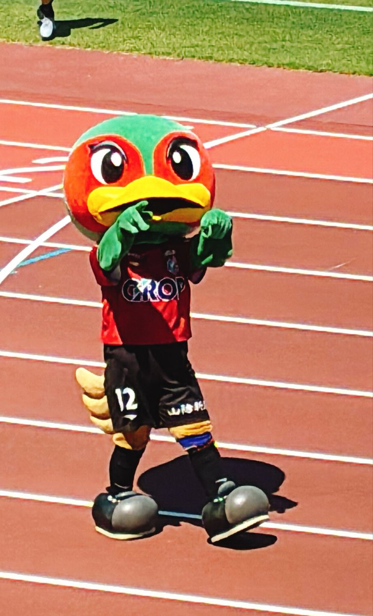 urw15_a's tweet photo. とにかく暑かったー！
ファジ丸可愛かったー！！
本当に負けなくてよかったー！！！
ボザちゃんありがとう😢❤️

来週勝って終わりましょう🫶 https://t.co/umbIBdapXm