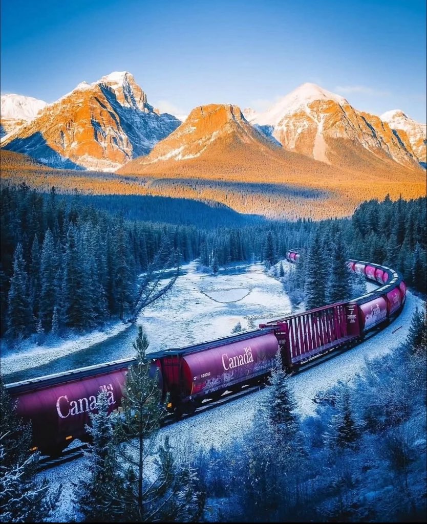 SilentWildX's tweet photo. 4 frames, one dream: Canada 🇨🇦 https://t.co/Cwh9vAy61v