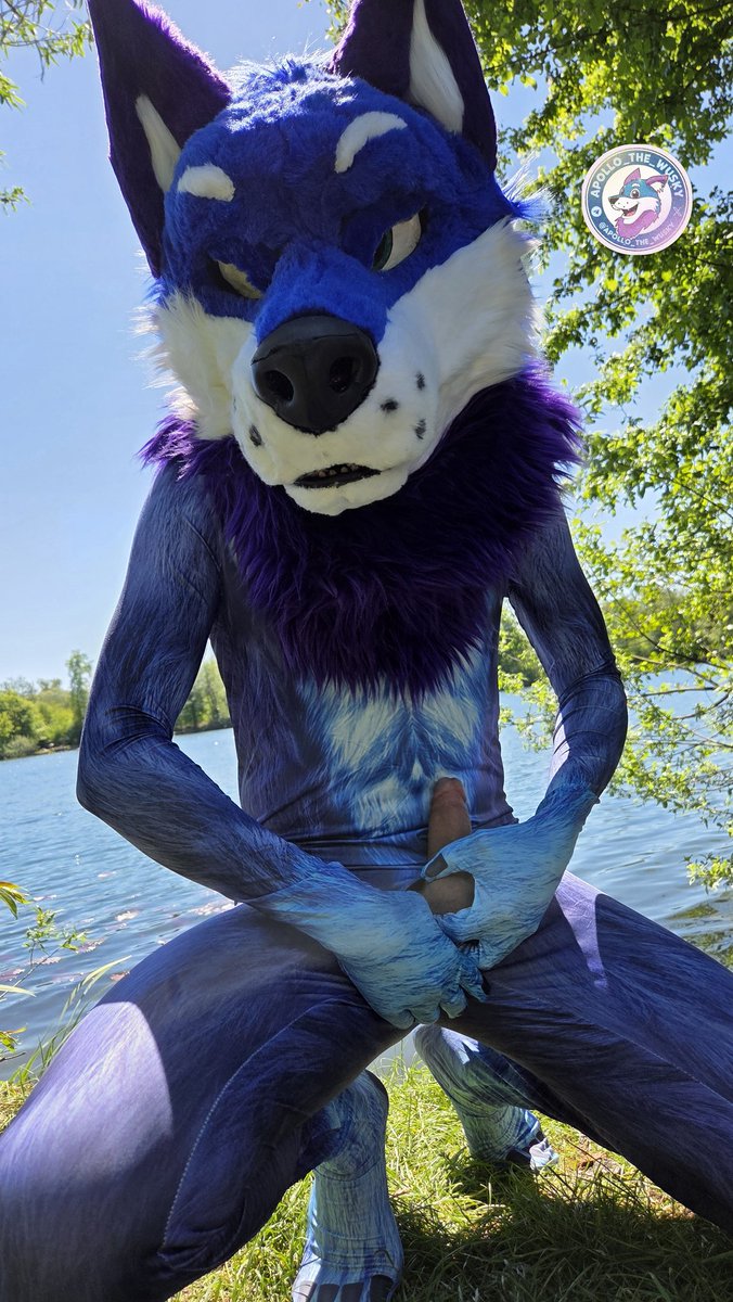 Apollo_Wusky_AD's tweet photo. In the background, on the other side of the lake, there were also a lot of people who watched the photo shoot. 😏

Link to my channel:
https://t.co/at0qeQhaSL

@Apollo_Wusky_AD https://t.co/EXqabTCfPv