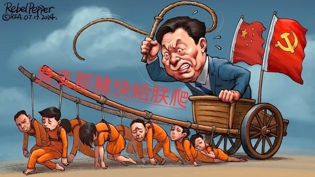 小妍宝宝 tweet media