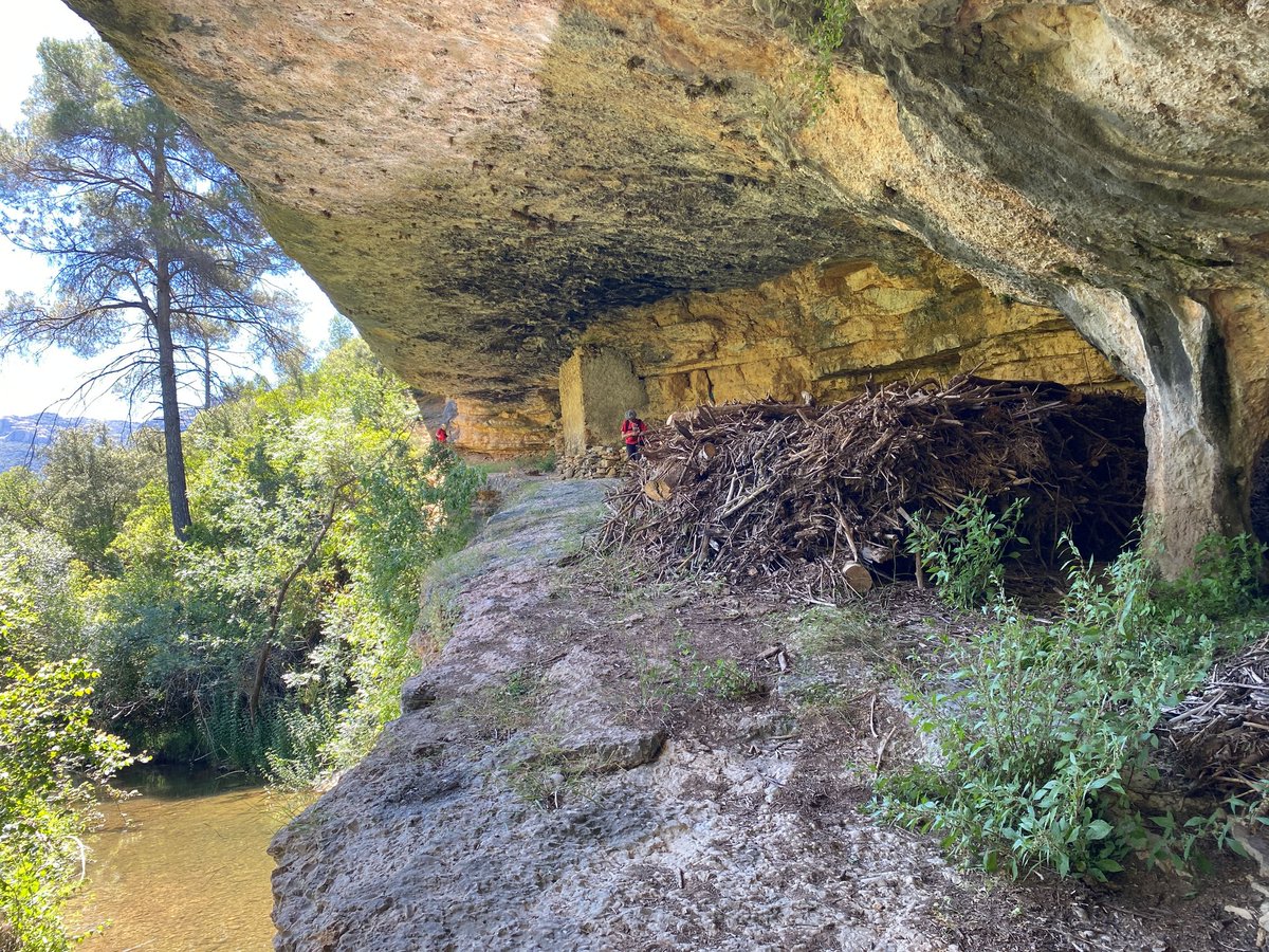rdexcursionisme's tweet photo. 24/05:🌲Dia Europeu 🇪🇺 dels Parcs🏞️
#Montsant Vam fer excursió linial des de #Margalef ☀️ cap a les coves de la Taverna, la Columna i l'Escolania, passant per davant del Mas del Soleràs🏡
📸 B.Cabré, Ma.J.Fàbregas, M.Llevat
#sommuntanya ⛰️
@rdexcursionisme 🌄
@ReusDeportiu ⬛🟥 https://t.co/RQo2YuJgs8