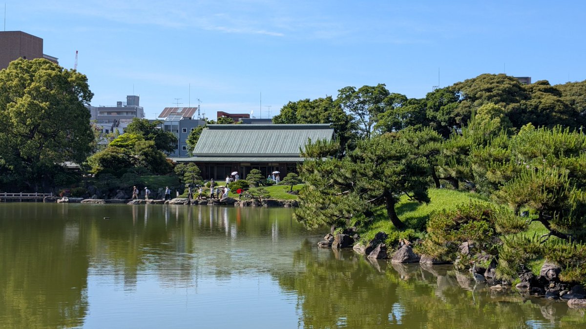 arcadia_'s tweet photo. 今日は東京都現代美術館と清澄庭園に行ってきた。なんでこんなに!?って言うくらい清澄庭園にはスッポンが生息しててびっくり、意図的に放ってるのかな。 https://t.co/9aTRc2YTSo