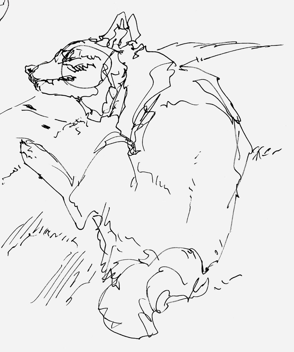 bunchonoshippo's tweet photo. もしゃもしゃもしゃもももも https://t.co/9Dz1Px4eYI