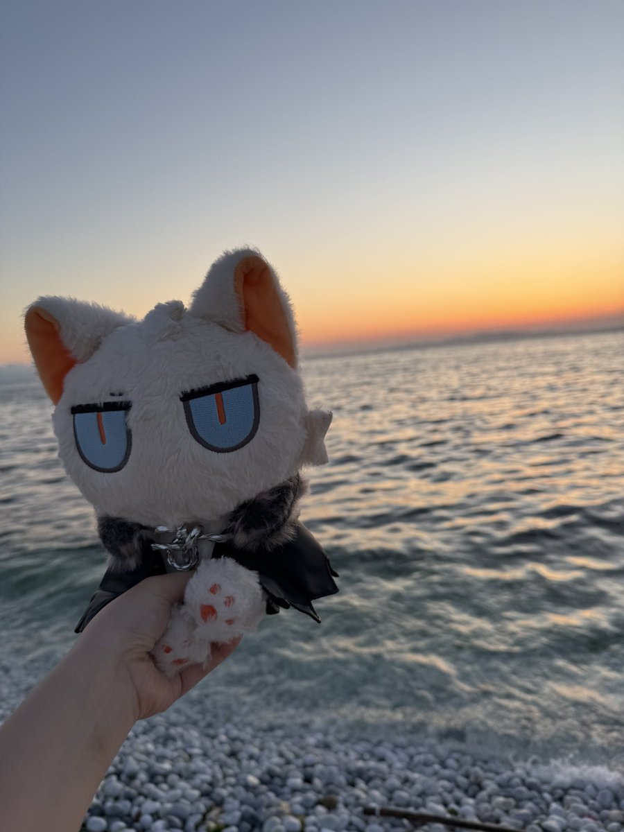 mayuuda_'s tweet photo. VitaminSea🌊 https://t.co/H8I19mqxOa