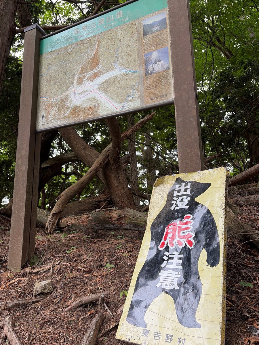 0070723's tweet photo. 今日の高見山、杉谷平野分岐の道標 https://t.co/9hpSSWjuyu