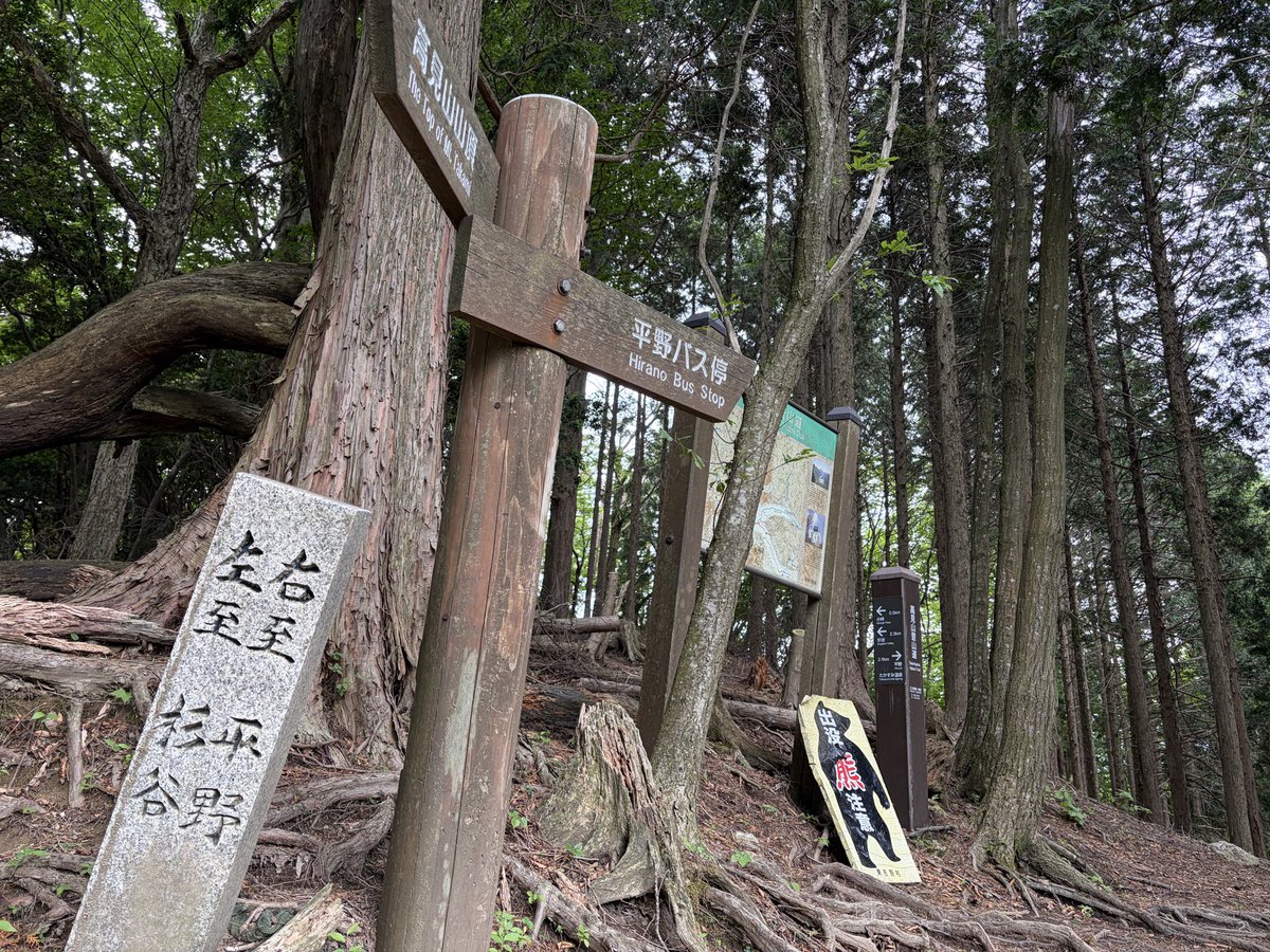0070723's tweet photo. 今日の高見山、杉谷平野分岐の道標 https://t.co/9hpSSWjuyu