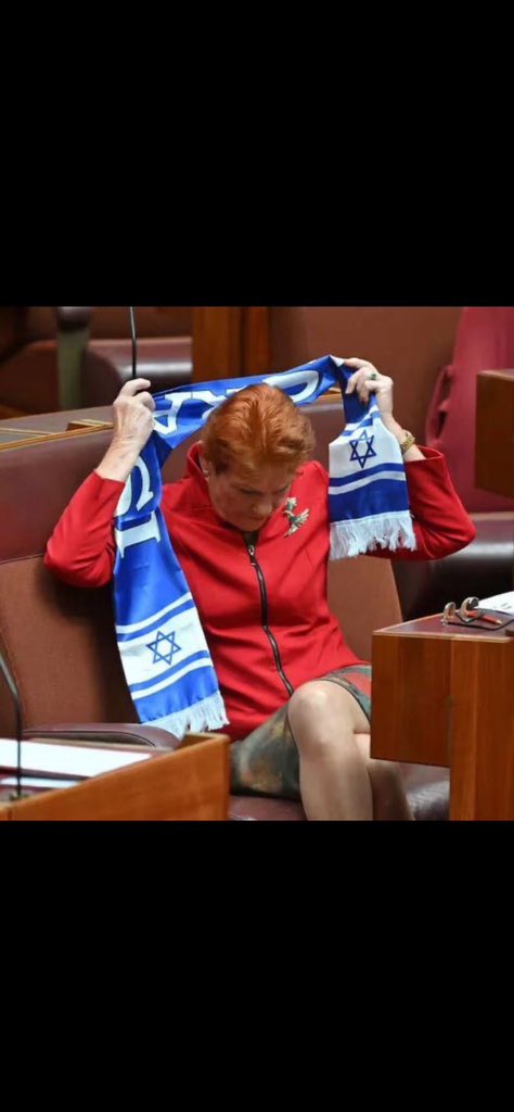 angusmorina's tweet photo. @ausstockchick https://t.co/3sVKf4vKKT