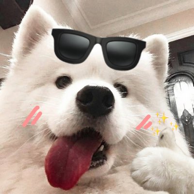 Txt__Untitled's tweet photo. #NewProfilePic https://t.co/8O52VY5U0j