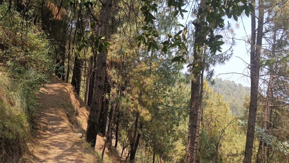 ilubnashah's tweet photo. The natural beauty✨🌻

Greenery, Trees, Sky and this lovely view🍀

Who loves to visit these places? https://t.co/mBltvGMjs7