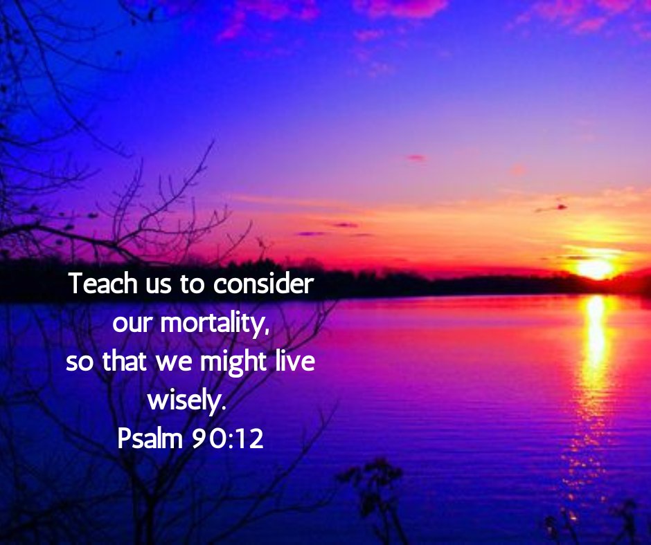 LifeSonday tweet picture