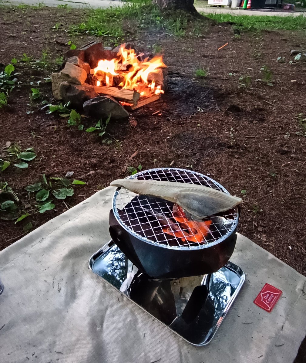 flightlessrider's tweet photo. ホッケの炭火焼
ハラミと椎茸
ヤバウマ https://t.co/YubjxBAPHR