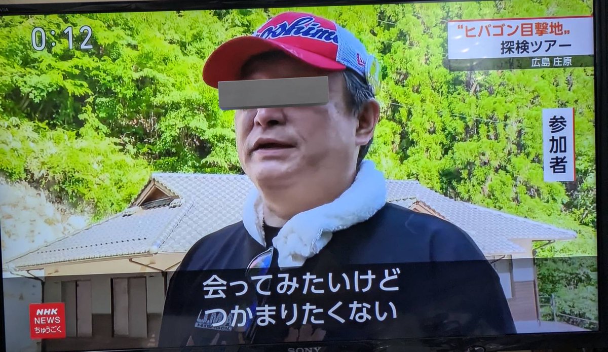 たっちゃんさんのところもっと見たかった?