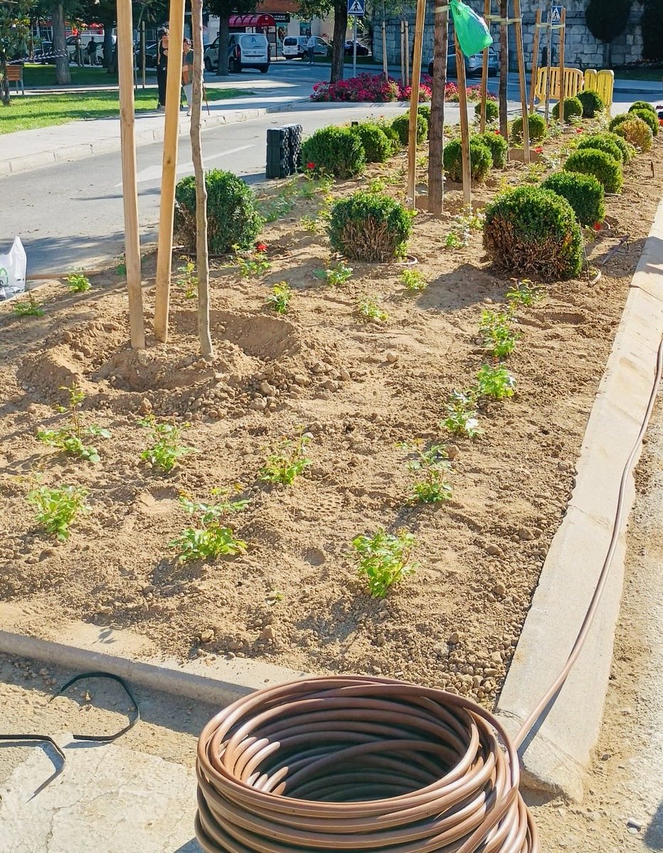 AytoPinto's tweet photo. 👩‍🌾🪴El Ayuntamiento de Pinto, a través del servicio municipal de jardinería de @AserpintoM, sigue con el desbroce, limpieza de alcorques y plantación de flores y especies arbustivas de temporada en zonas verdes de la ciudad. Acción que se extenderá a todo el término municipal🪴👩‍🌾 https://t.co/qVemNQrrle