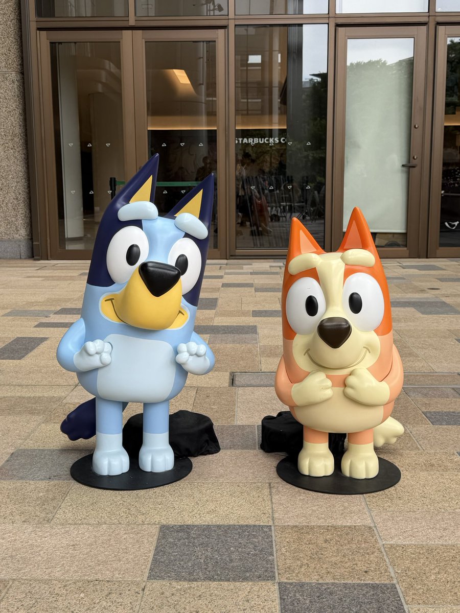 DDD_NK's tweet photo. 毎日ブルーイを見てしまう。ヒーラー家のみんな可愛すぎる。 https://t.co/1Yes8tehSa
