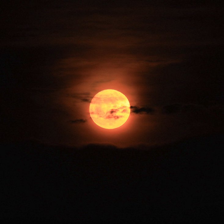 hiboshi045's tweet photo. 東の空からブルームーンが昇ってきました🌕 https://t.co/RLZ02gWsGb