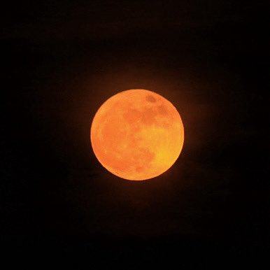 hiboshi045's tweet photo. 東の空からブルームーンが昇ってきました🌕 https://t.co/RLZ02gWsGb