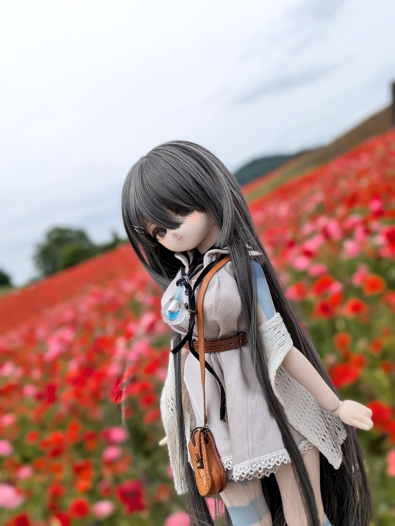 きな屋 (@sera_k) / Posts / X