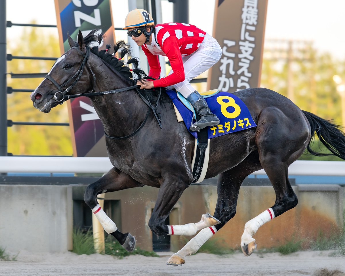 kuttshi's tweet photo. 第69回 百万石賞＜3歳上2,100m＞
優勝は #望月洵輝 騎手騎乗の
2番人気 #ナミダノキス が連覇！
＜牡5・金沢・#金田一昌厩舎 ＞
#Pickup_Winner #Pickup_Race
#金沢競馬 https://t.co/ZXylEslzkY