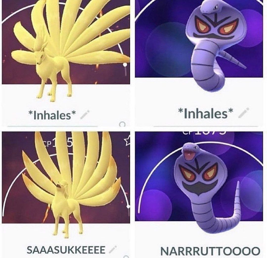Pokémon Daily tweet media