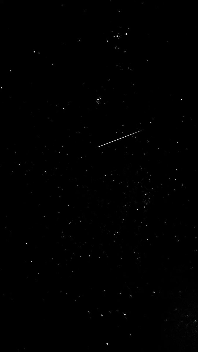 Stargirl tweet media