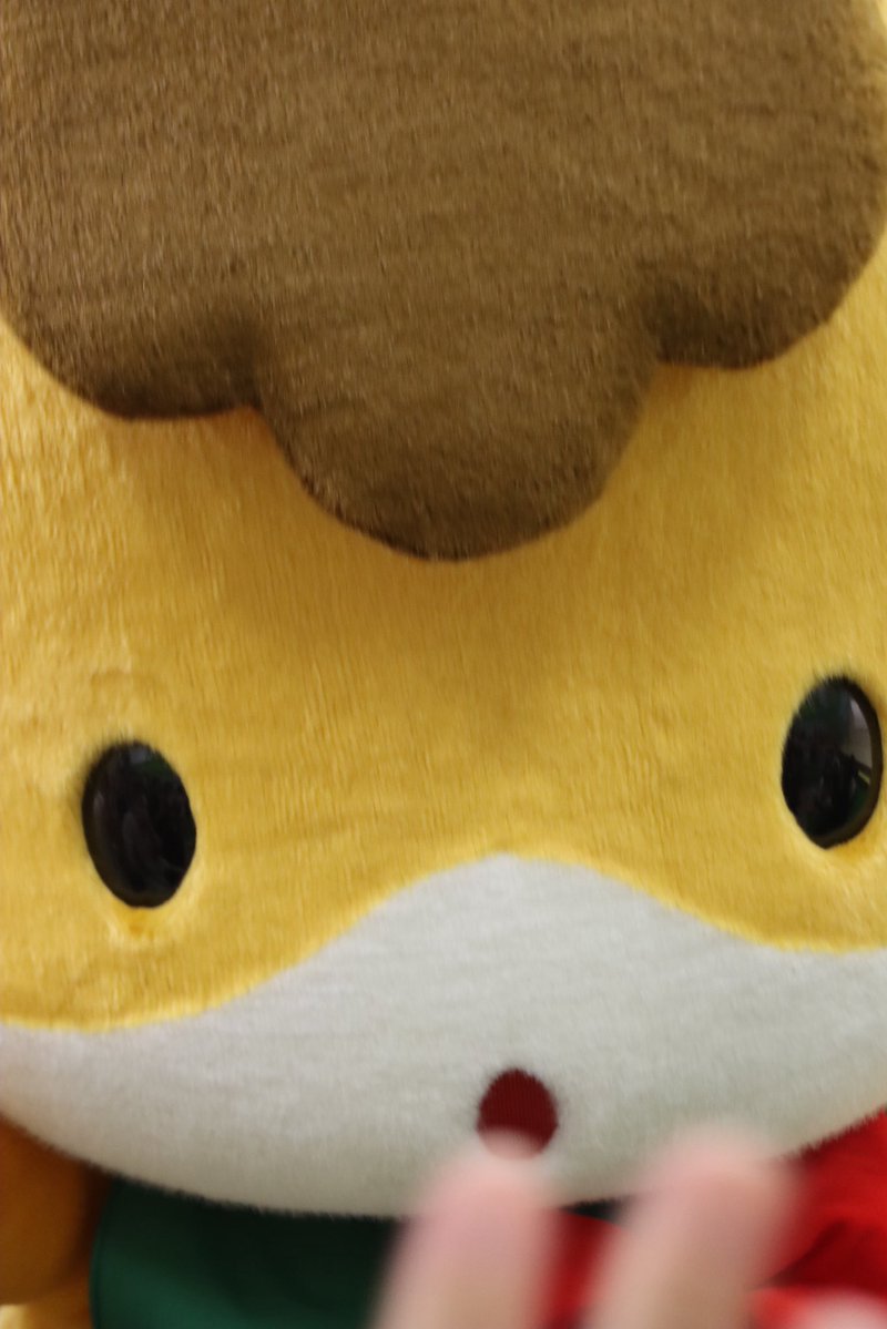 【くんくんくん】 Post by pakabouzu on X: ぐんまちゃん