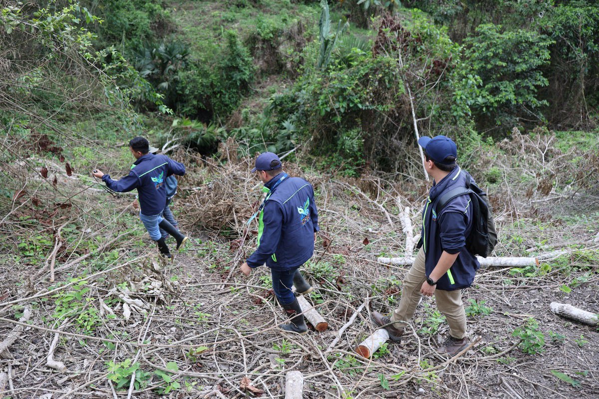 Alfred_Balle's tweet photo. Más de 6.000 árboles y arbustos fueron talados en un área de aproximadamente 8 hectáreas en la vereda Calandaima, en Viotá, Cundinamarca. 

En la @CAR_Cundi adelantamos investigaciones en uno de los ecosistemas más amenazados del país: el Bosque Seco Tropical. 

Con drones y tecnología especializada, verificamos la magnitud de la afectación ambiental, que impacta el suelo, la producción de agua y el hábitat de múltiples especies.

En Cundinamarca queda menos del 2% de este ecosistema en estado crítico de fragmentación.

Cuidar nuestros ecosistemas no es opcional, es una responsabilidad colectiva.