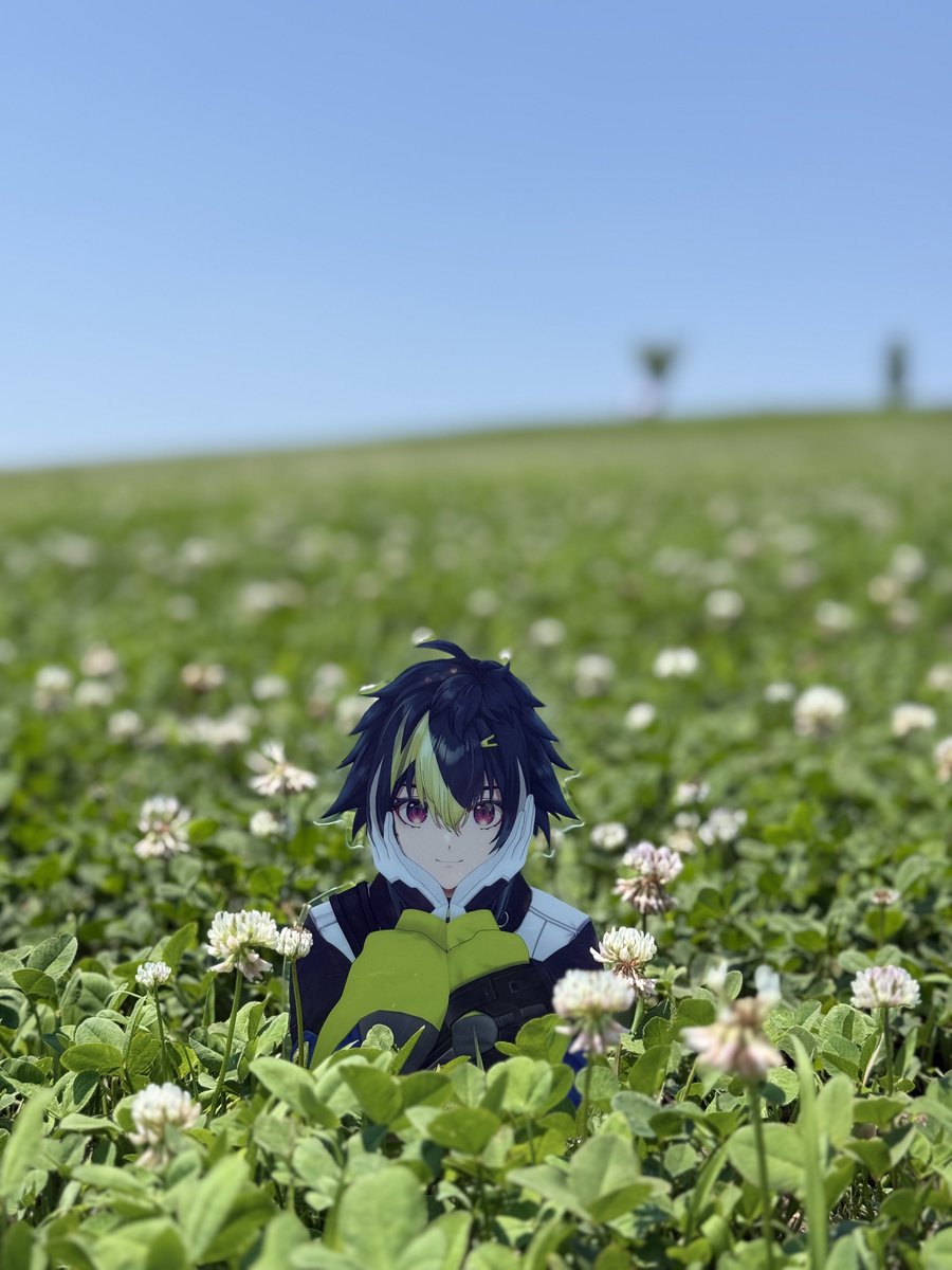 ダイカットビジュアルパネル