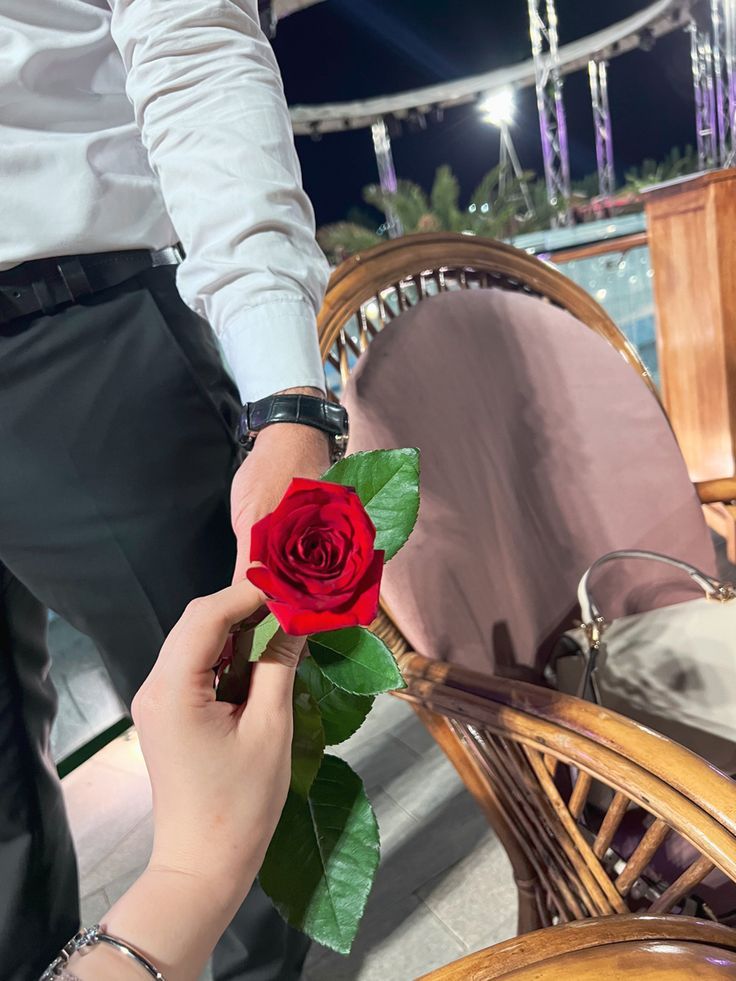 MyBloomDiaries's tweet photo. one rose 🌹
from the right person
is worth more than a thousand
from the wrong one 💫
protect this energy at all costs
#singlerose #romanticmoment #love https://t.co/caATEjAmIs