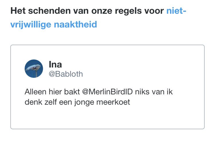 Babloth's tweet photo. Je gaat je toch echt afvragen of het wel goed gaat met ome Elon

Dus de niet in beeld zijn “jonge meerkoet” maar verwijderd anders kon ik dit niet plaatsen 😅 https://t.co/5ysQtO5WpF