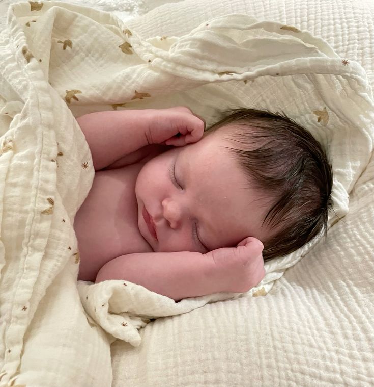 Cuddleecute's tweet photo. https://t.co/3RtinQQpGG