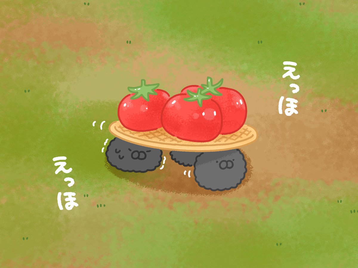 トマトを運ぶモチウニたち( ˙ ꒳ ˙ )