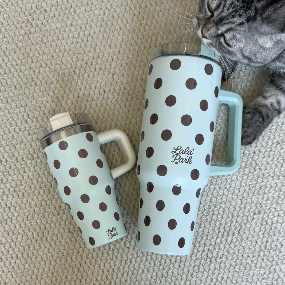 poIkadore's tweet photo. [Batch 4] Open Order Polkadot Tumbler 🥤

🇮🇩 IDR https://t.co/3SIdxtMLit - https://t.co/FY2XVXgQqG
💭 close order 02/06 (18.00 wib)
🌐 exc tax (est 30-65k)
🚛 4-6 weeks (sea cargo)

order by DM / WA / LINE 💬 GO line ✔️
🏠 Bogor

open thread for details: https://t.co/xlDl0N29Uv