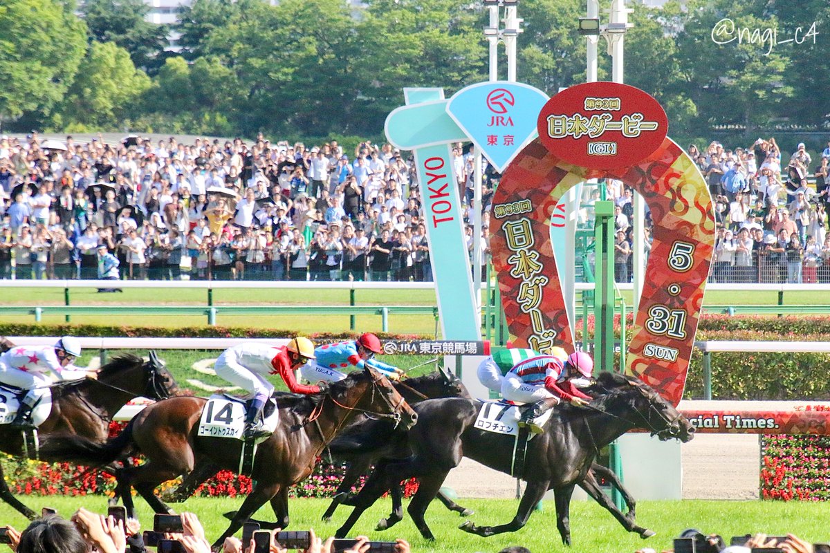Nagi_ey5's tweet photo. よきダービーでした🏇 https://t.co/NvlsiWJeWT